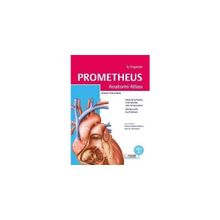 Palme Yayıncılık Prometheus Anatomi Atlası 2. Cilt