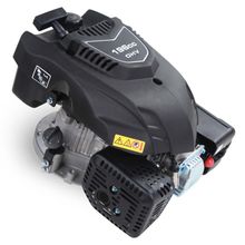 Palmera DV196-L 6,5 HP Çim Biçme Makinesi