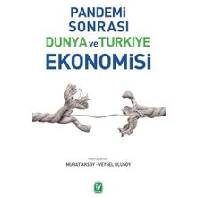 Pandemi Sonrası Dünya ve Türkiye Ekonomisi - Murat Aksoy