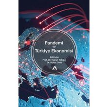 Pandemi ve Türkiye Ekonomisi - Harun Yakışık Hülya Ünlü