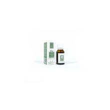Panlife 15 ml Okaliptus Yağı