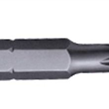 Panyı PH2 25 mm Bits Uç