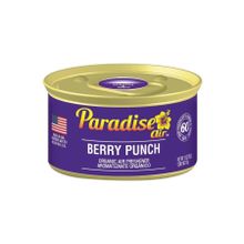Paradise Air Berry Punch 42 gr Oda ve Araba Kokusu