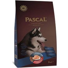 Pascal 3 KG Somonlu Yetişkin Köpek Maması