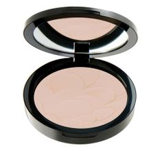 Pastel Profashion Advanced Compact Powder No 20 Pudra