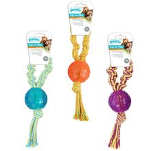 Pawise 32 cm Toplu Diş İpi Köpek Oyuncağı