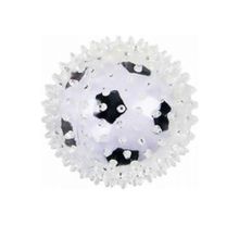 Pawise 8.5 cm Zıplayan Futbol Topu Köpek Oyuncağı