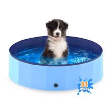 Pawise 81x8 inç Dış Mekan Katlanabilir Köpek Havuzu