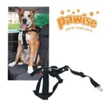Pawise Xl 80-110 cm Emniyet Kemer Tokalı Tasma