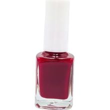 Pazarız Oje No 39 + 47 15 Parça Oje Nail Art Fırça Kozmetik Seti