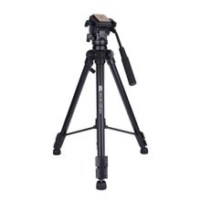 PDX 501 AMT Plus Profesyonel Hidrolik Kafa Tripod