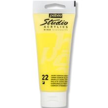 Pebeo 83122 Studıo 100 ml Akrilik Boya