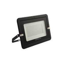 Pelsan 109305 100W 5000K Lecto Led Projektör
