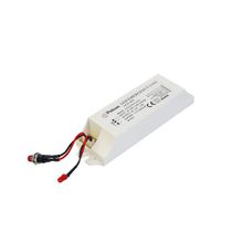 Pelsan 331339 12-110V Led Konvertör 3 Saat Acil Aydınlatma Kiti