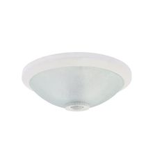 Pelsan IP20 104369 Sense 8W 6500K Sıva Üstü Konvertör Kitli Sensörlü Led Tavan Armatürü