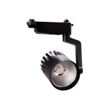 Pelsan IP40 107981 Theta 30W 4000K COB Led Ray Spot