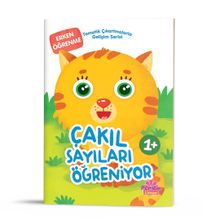 Pembe Limon Tematik Çıkartmalarla Gelişim Serisi - Çakıl Sayıları Öğreniyor