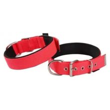 Pet Mamacı Actirex 1.5 cm x 38 cm Kırmızı Orta Neon Yumuşak Doku Köpek Boyun Tasması