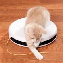 Petsafe Frolicat Flik Kedi Oyuncağı