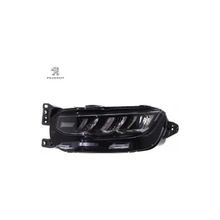 Peugeot 9835610380 Far