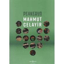 Peykerun - Retrospektif - Mahmut Celayir
