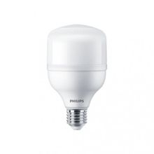Philips 24 W E27 6500K Trueforce Core Led Ampul