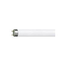 Philips 36W Günışığı Floresan Ampul