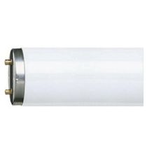 Philips Master TL-D Snow White 18 W Floresan Ampul