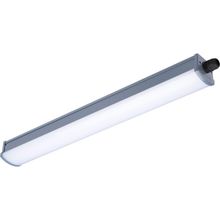 Philips WT066C 40W Led Etanj Armatür