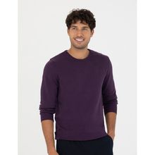 Pierre Cardin 50270179-VR038 Mor Erkek Kazak