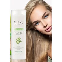 Pierre Cardin Aura Botanica Çay Ağacı Özlü 360 ml Şampuan