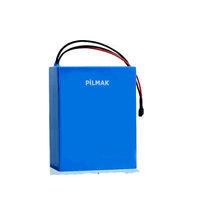 Pilmak 24 V 18 Ah Lithium Ion Pil