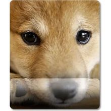 Pixxa Model - 2 Shiba Inu - Köpek Bilek Destekli Mouse Pad