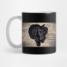 Pixxa Wow! What A Beautiful Black Puppy Dog Kupa Bardak