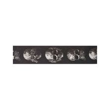 PlanetWaves 50AL01 50 mm Alchemy Str Muted Skull Gitar Askısı