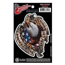 PlanetWaves GT77016 Freedom Eagle Gitar Stickerı