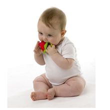 Playgro Karpuz Sulu Dişlik