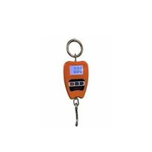 Plt Power 8088 200 kg Vinç Kantar