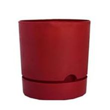 Poliwork Begonya 150x145 mm Bordo Saksı