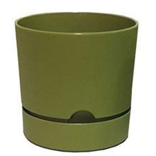 Poliwork Begonya 9 cm Yosun Yeşili Saksı