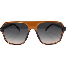 Polo Exchange 1082 C54 56 Unisex Güneş Gözlüğü