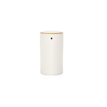 Porland Alumilite Altın Yaldız 6 cm Biberlik