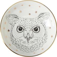Porland Forest Owl 10 cm Mini Kase