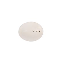 Porland Oasis Alumilite 4 cm Tuzluk