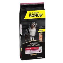 Pro Plan 14+2,5 kg Adult Senstive Somonlu Pirinçli Yetişkin Köpek Maması