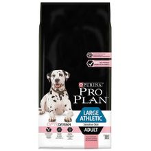 Pro Plan Adult Large Athlethic Somonlu Yetişkin 14 kg Köpek Maması