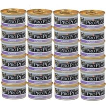 Pro Plan Junior Tavuk Etli Yavru 24x85 gr Kedi Maması