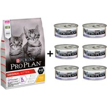 Pro Plan Kitten Tavuklu 3 kg Yavru Kedi Maması + 6x85 gr Junior Tavuk Etli Yavru Kedi Maması