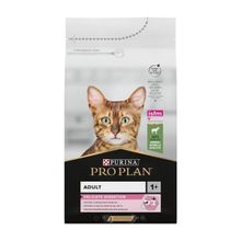 Pro Plan Kuzu Etli 3 kg Delicate Hassas Seçici Yetişkin Kuru Kedi Maması