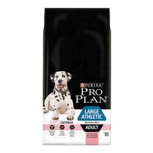 Pro Plan Large Athletic Somonlu Yetişkin Büyük Irk 14 KG Köpek Maması